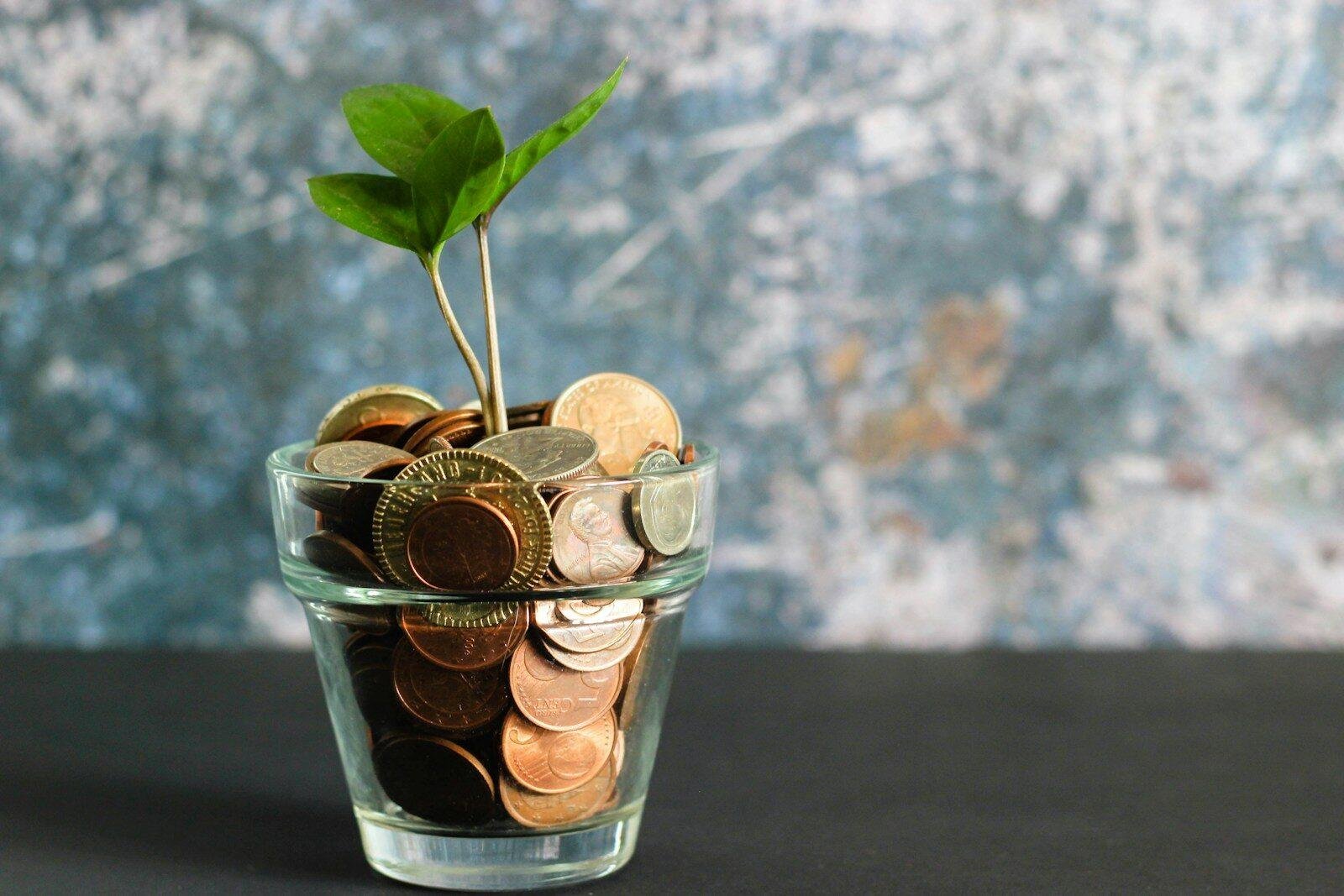 Fund selection criteria